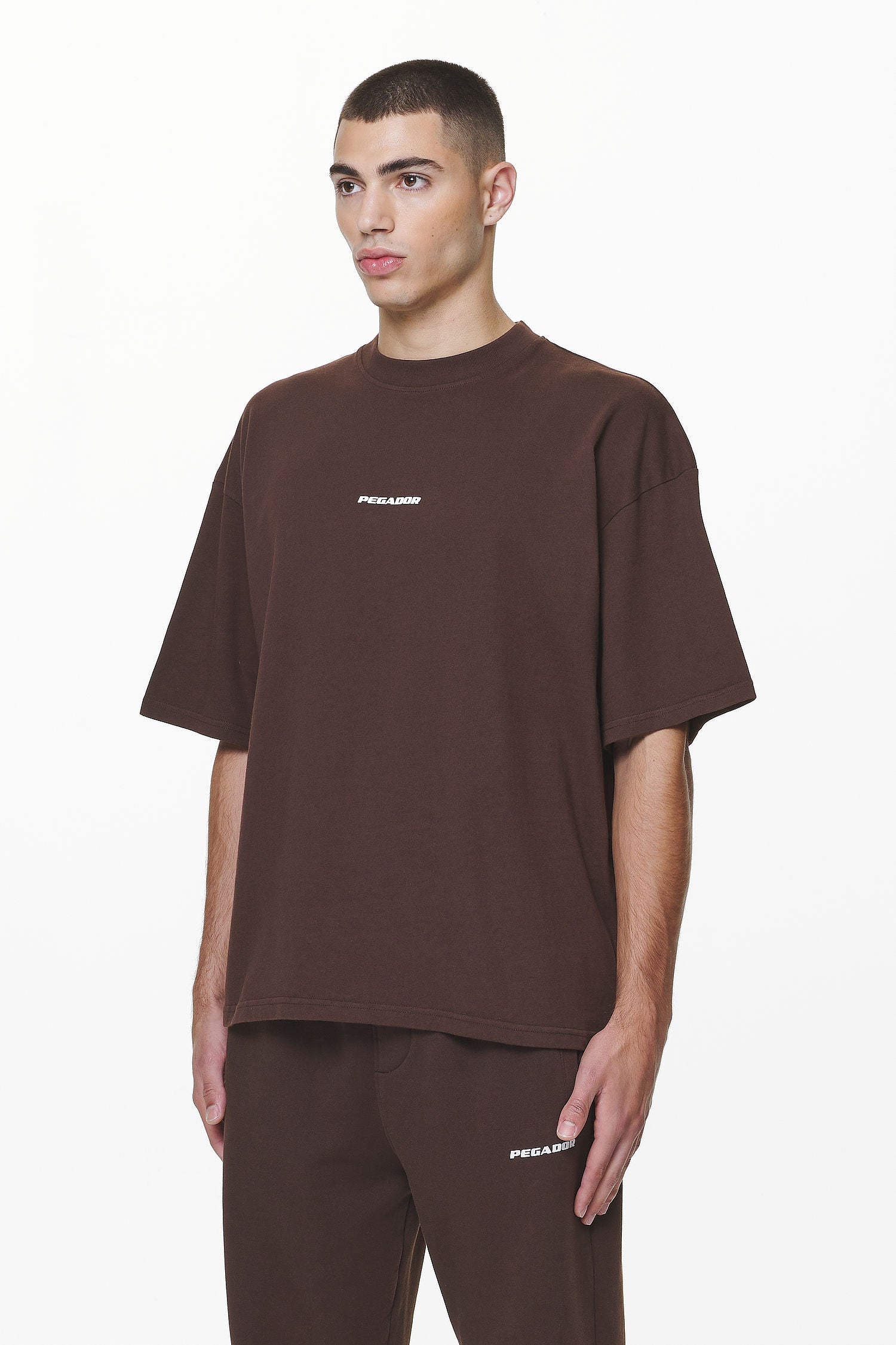 Pegador Logo Boxy Tee Washed Oak Brown Gum Seitenansicht aus der Do not Disturb Kollektion für Herren