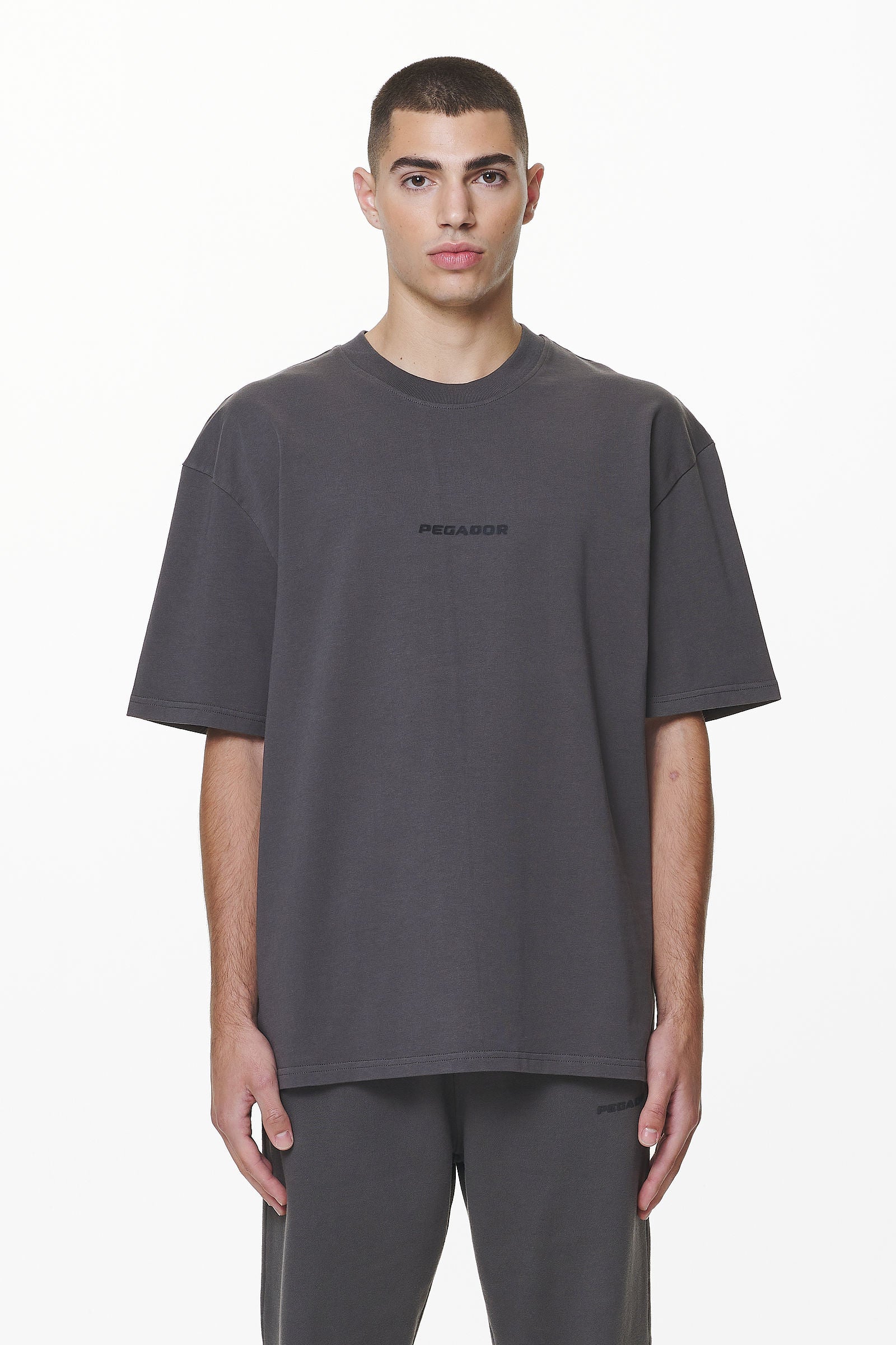 Pegador Colne Logo Oversized Tee Washed Volcano Grey Seitenansicht aus der Do not Disturb Kollektion für Herren