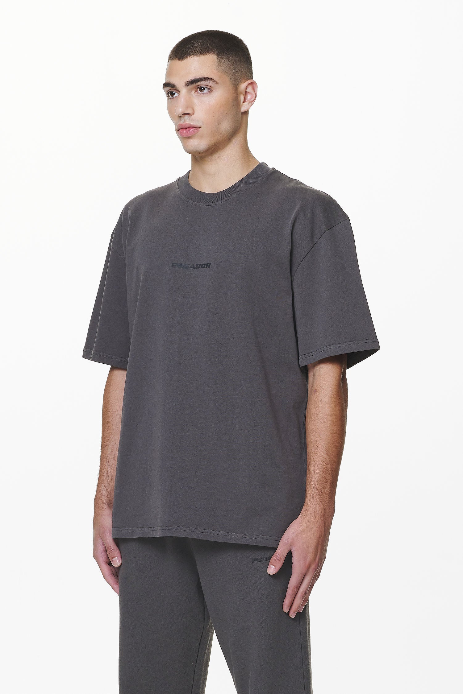 Pegador Colne Logo Oversized Tee Washed Volcano Grey Gegenansicht aus der Do not Disturb Kollektion für Herren