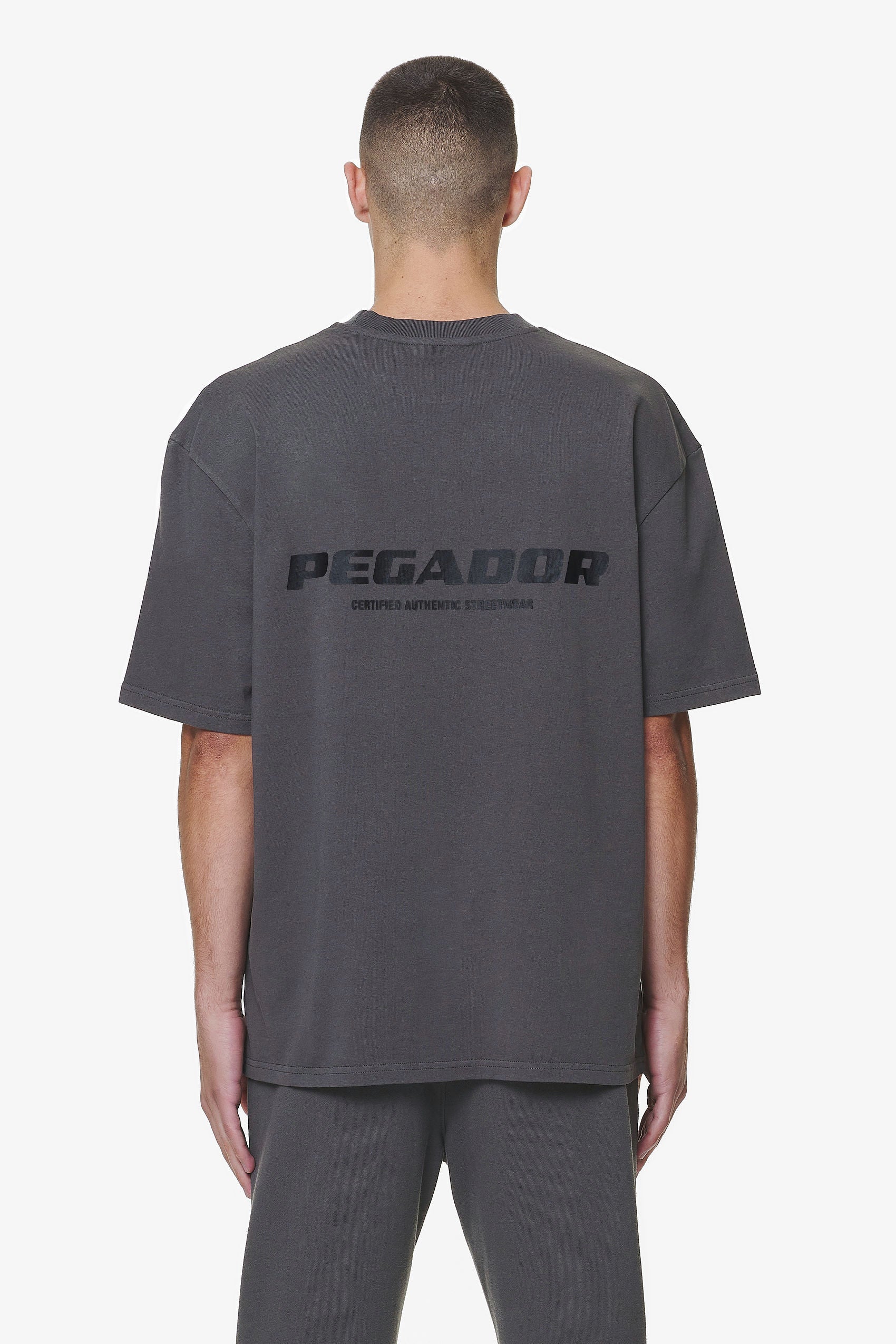 Pegador Colne Logo Oversized Tee Washed Volcano Grey Hauptansicht aus der Do not Disturb Kollektion für Herren