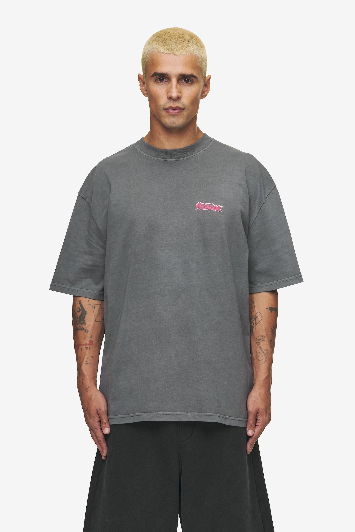 Pegador Barret Oversized Tee Vintage Grey Seitenansicht aus der High summer Kollektion für Herren