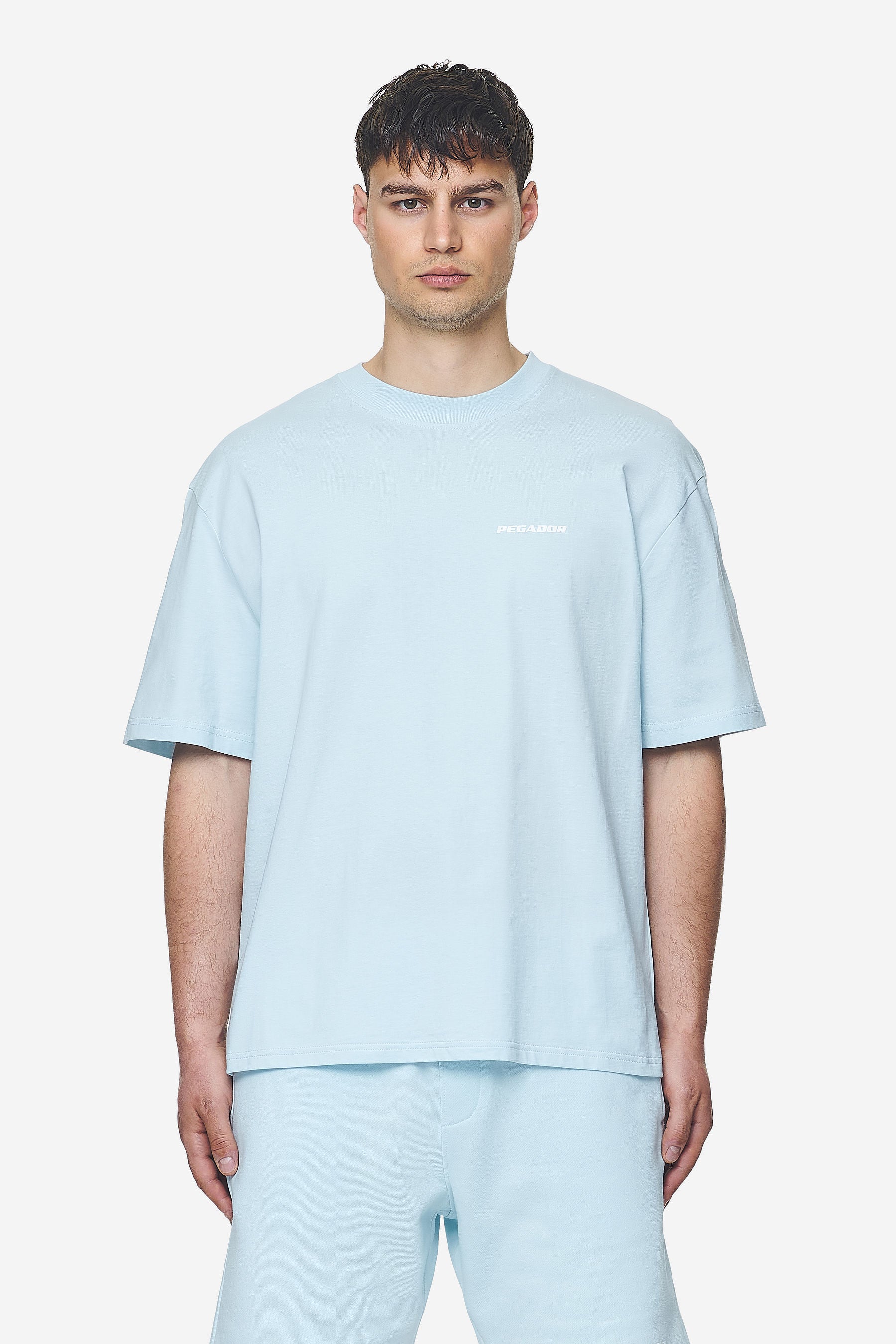 Pegador Logo Oversized Tee Washed Baby Blue White Gum Hauptansicht aus der Next Wave Kollektion für Herren