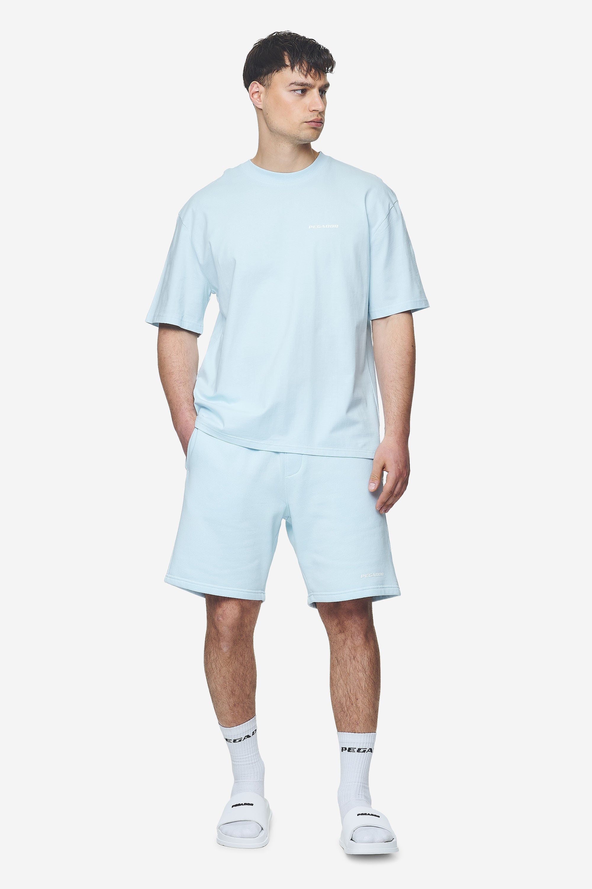 Pegador Logo Oversized Tee Washed Baby Blue White Gum Ganzkörper Bild aus der Next Wave Kollektion für Herren