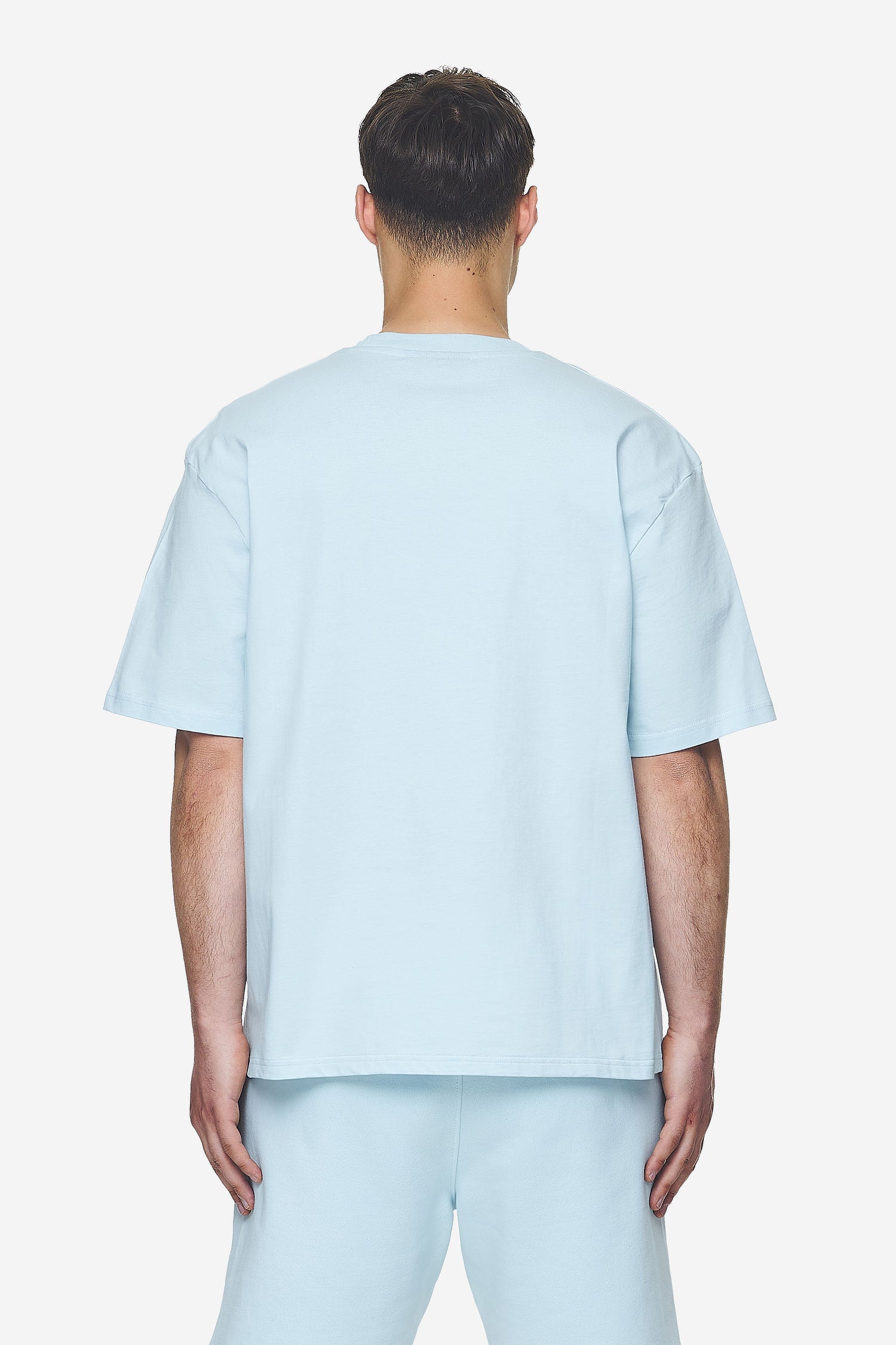 Pegador Logo Oversized Tee Washed Baby Blue White Gum Gegenansicht aus der Next Wave Kollektion für Herren