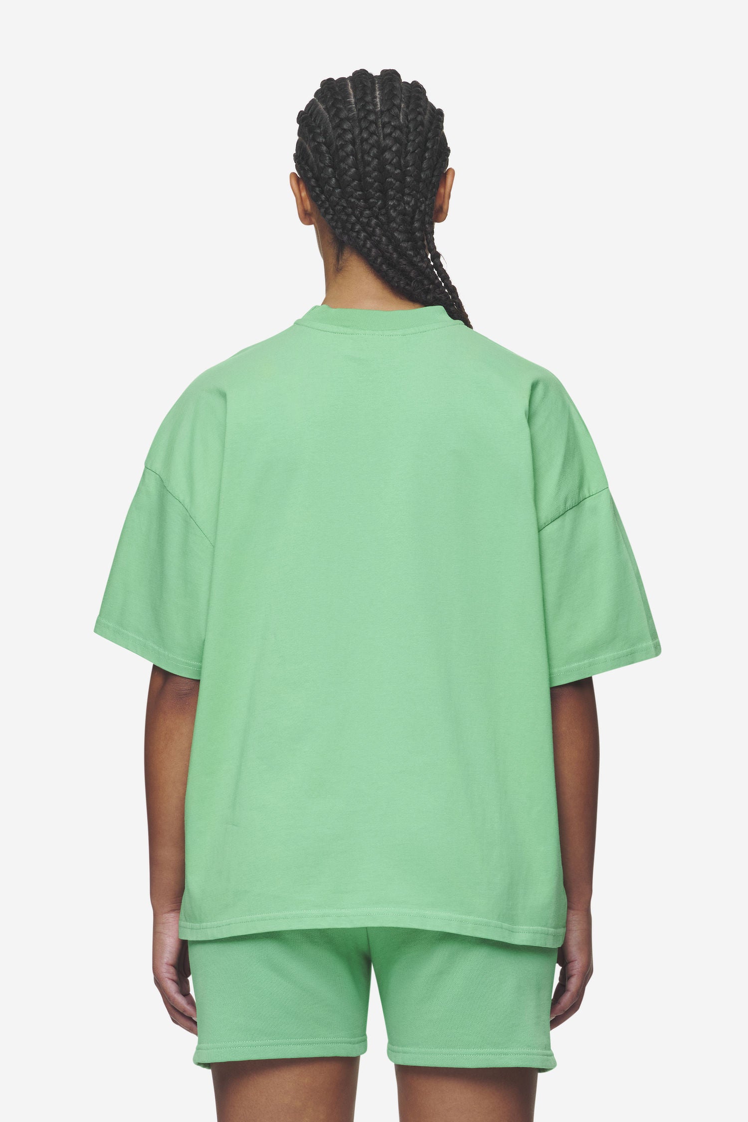 Pegador Bracy Heavy Oversized Tee Washed Peppermint Green White Gum Gegenansicht aus der Next Wave Kollektion für DaHerren