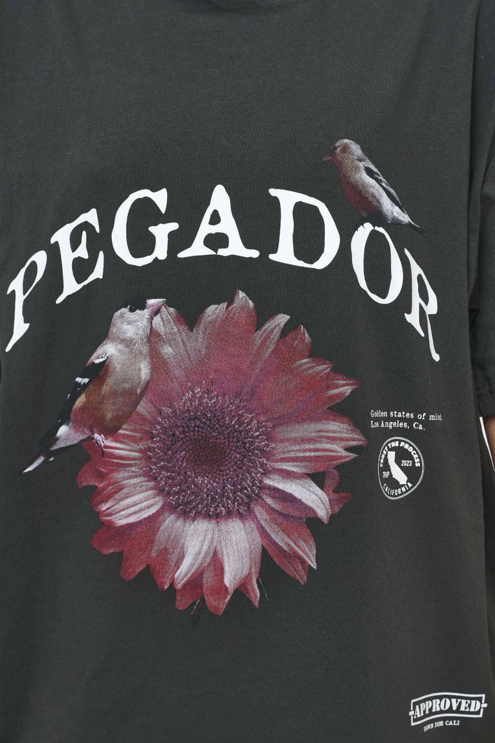 Pegador Zea Oversized Tee Vintage Washed Iron Grey Detailshot aus der Trust The Process Kollektion für DaHerren